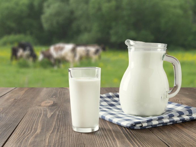 РСХБ: российские аграрии предпочитают производство молока и зерновых.