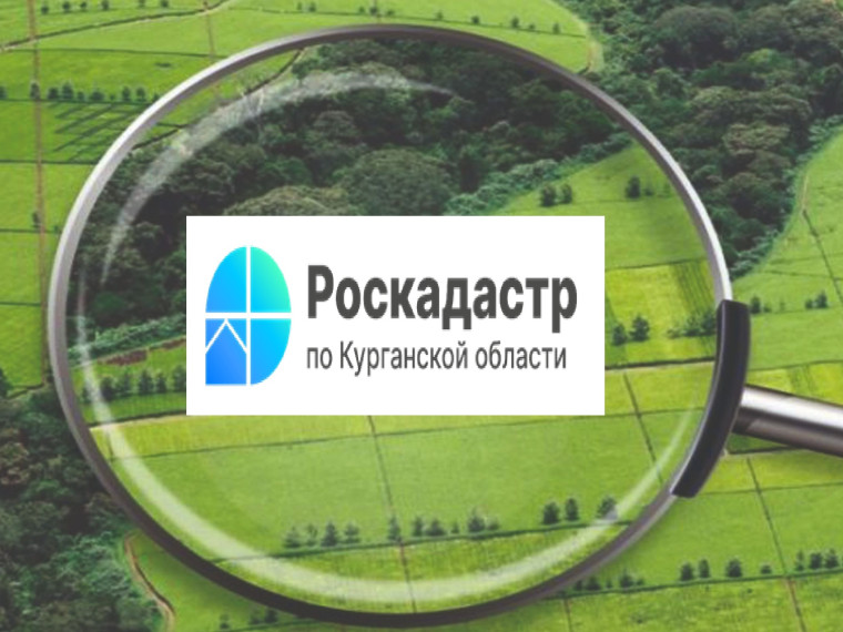 Получить материалы из Госфонда данных землеустройства можно в филиале ППК «Роскадастр» по Курганской области.